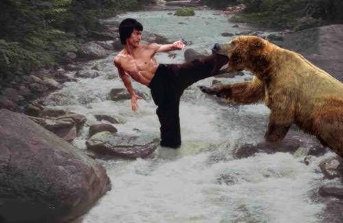 bruce lee fighting a bear
