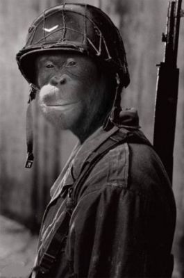 monkey soldier