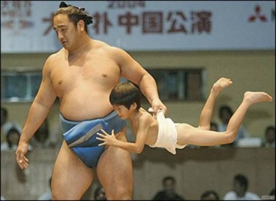 sumo wrestling funny