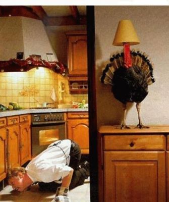 funny thanksgiving