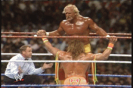 I didn't know Hulk Hogan and Ultimate Warrior had an affair