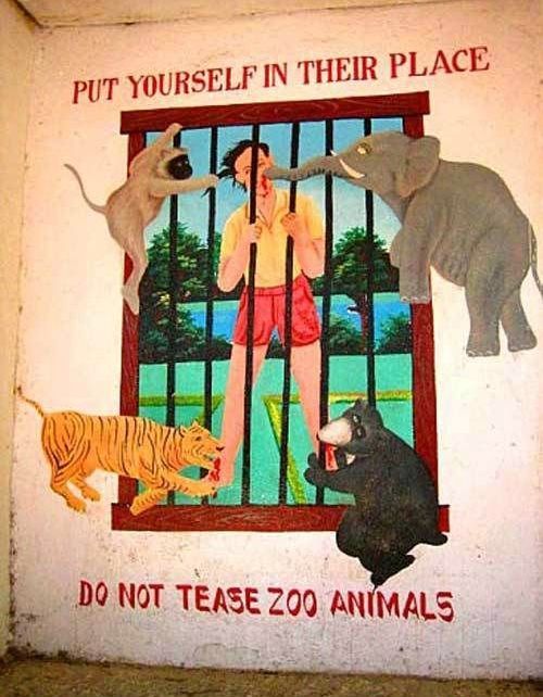 Don't tease zoo animals
