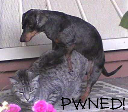 OWNED and PWNED pictures