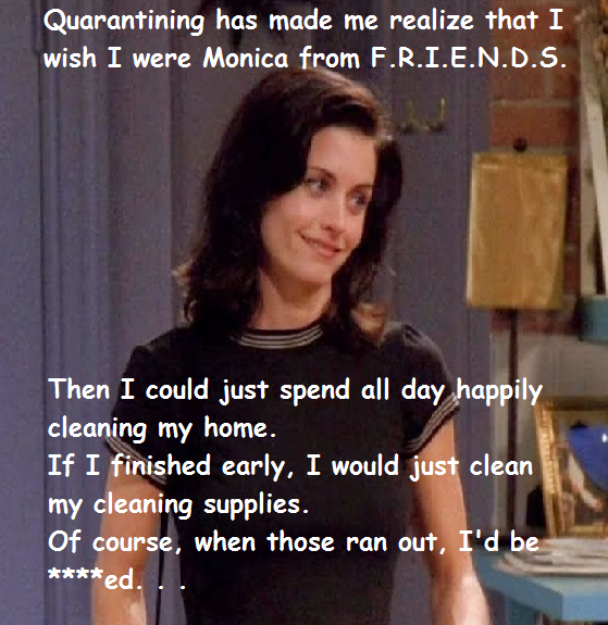 photo caption - Quarantining has made me realize that I wish I were Monica from F.R.I.E.N.D.S. Then I could just spend all day happily cleaning my home. If I finished early, I would just clean my cleaning supplies. Of course, when those ran out, I'd be ed