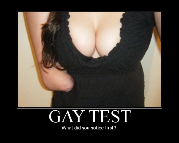 gay test quiz boom