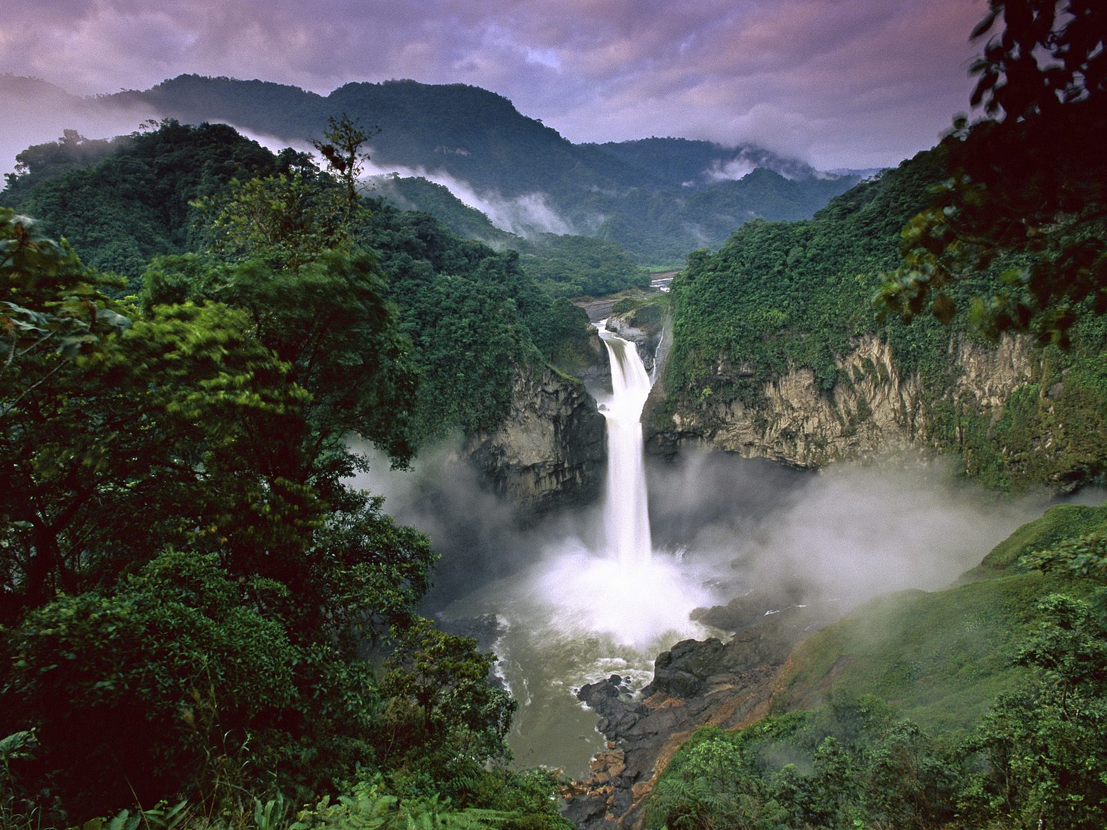 Yasuni Park in the Amazon Rainforest