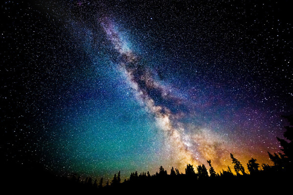 Milky Way galaxy, contrasted by a night forest skyline.