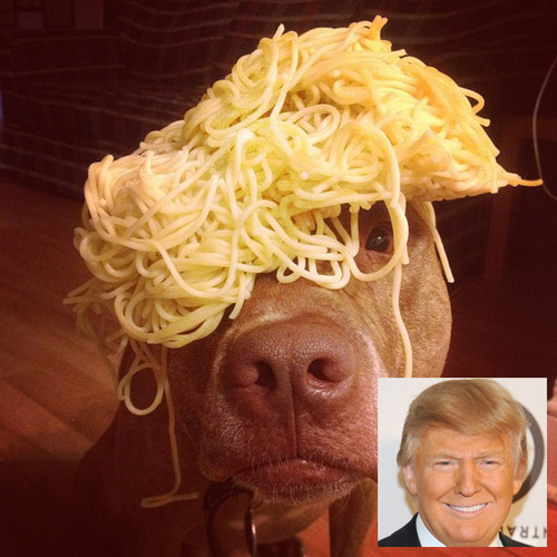 Trump Styled Spaghetti