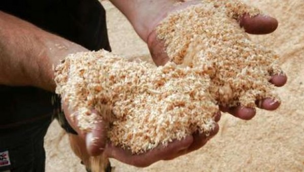 Sawdust - Yup, ground-up bits of wood. Manufacturers put it in shredded cheese to keep the shreds from sticking together. In the ingredients it's listed as cellulose.