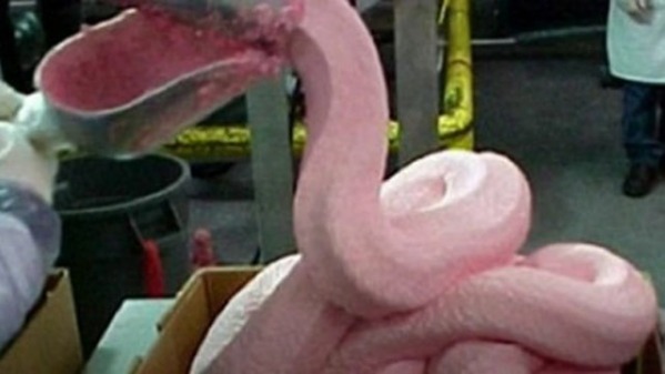 Pink Slime - This delicious looking stuff is in a lot of processed fast food meat like chicken nuggets and hamburgers.