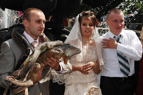 Reptiles have fun at this wedding -- to the bride's horror.