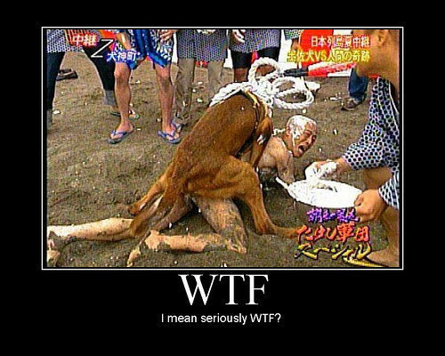 WTF Pictures Compilation