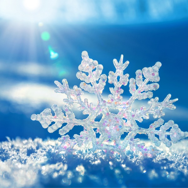 Snowflake Twins - We all know the saying, "no two snowflakes are alike", but the weather has certainly proved us wrong! Despite this popular belief, there is actually no law of nature that stops two snowflakes from being identical at all! We guess you shouldn't believe everything you hear after all...