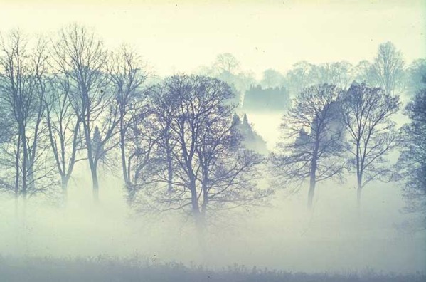 Tablespoon of Fog - You probably already knew that fog was made up of tiny droplets of water, but what you may be surprised to find out is that these droplets are so incredibly small, it would take seven thousand million of them to make a single tablespoonful of water! Really puts it into perspective, doesn't it?