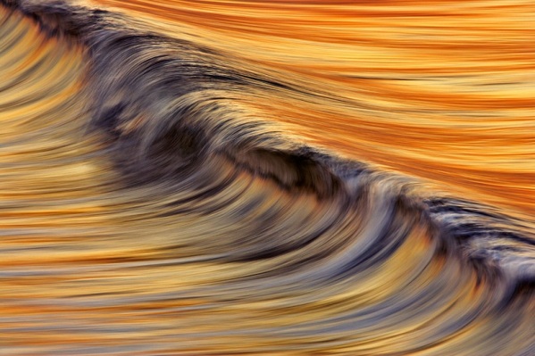 Golden Wave