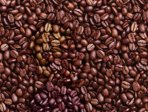 Coffee Beans Galore - When you first see this picture it is clear that there are plenty of coffee beans, but keep staring at the picture. What do you see?