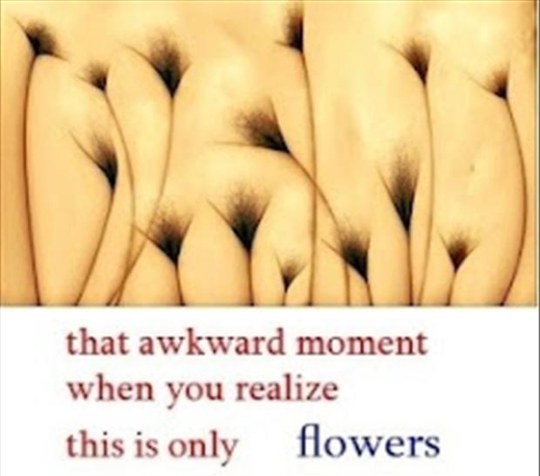 They're Only Flowers - I mean come on really what did you think they were? Get your mind out of the gutter!