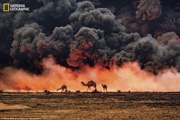 Desperation - Steve McCurry took this photograph in 1991 to show the burning oil fields in Kuwait during the Gulf War, as well as the desperate camels searching for food and water