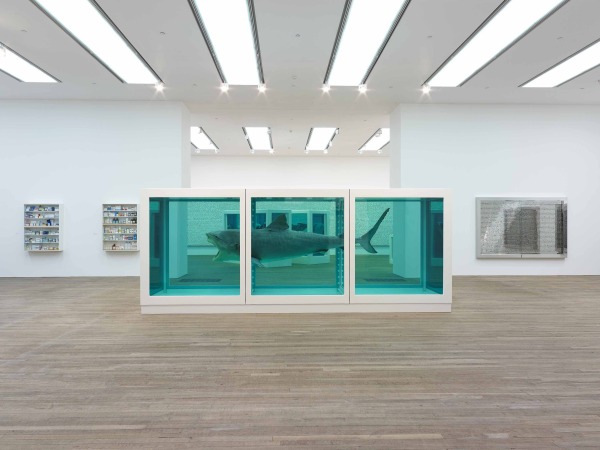 In 2004, "The Physical Impossibility of Death in the Mind of Someone Living" -- an artwork consisting of a tiger shark preserved in formaldehyde inside a vitrine -- by artist Damien Hirst was reportedly sold to hedge fund manager Steven A. Cohen for a rumored figure of 8 million though others have suggested 12 million. The taxidermy shark was initially preserved poorly and had to be replaced in 2007.