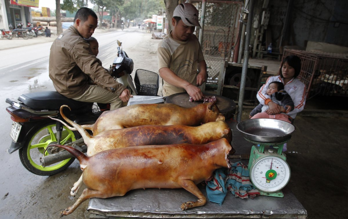Dog meat is a common dish in many Eastern Asian nations.