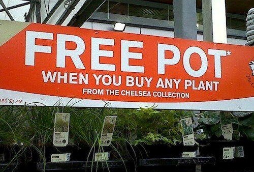funny retail signs - Free Pot When You Buy Any Plant From The Chelsea Collection 589 $1.49 3