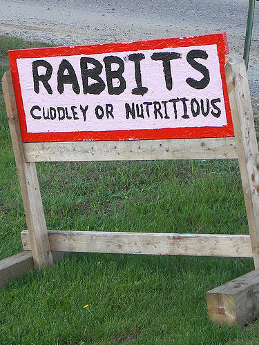 interesting signs - | Rabbits Cuddley Or Nutritious
