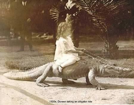 alligator ride - 1920s, Doreen taking an alligator ride