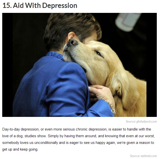 Having a Dog Can Change Your Life Gallery eBaum's World