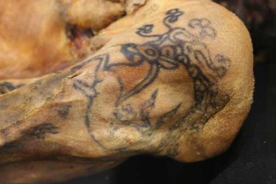 The Ice Maidens tattoo, the oldest preserved specimen of tattooed human skin, 5th c BC.