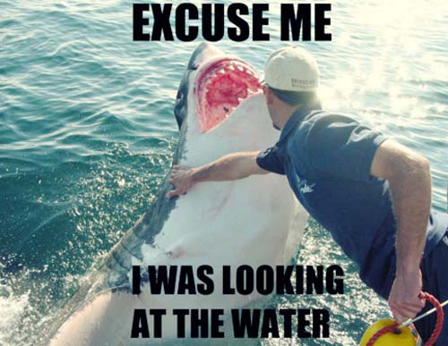funny shark memes clean - Excuse Me Iwas Looking At The Water