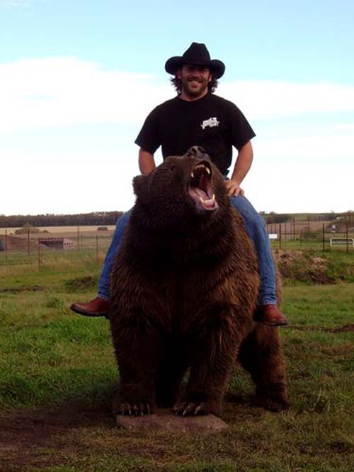 people riding bears