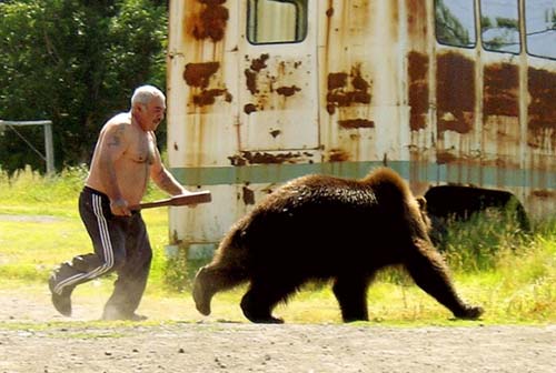 meanwhile in russia bear