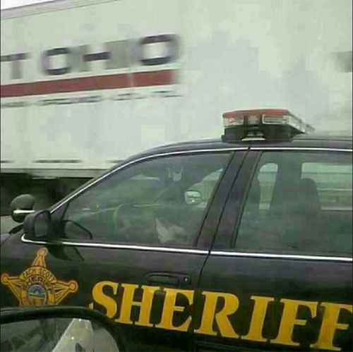 cop texting while driving - Sheriff