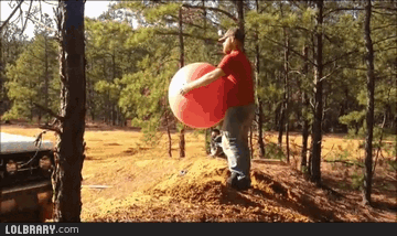funny exercise ball gif - Lolbrary.com