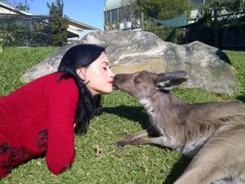 18 Pictures Of Girls Kissing Strange Things