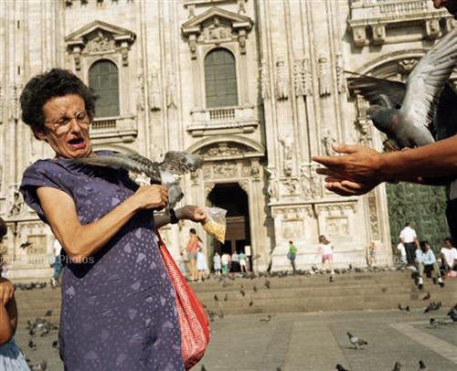 milan cathedral - Photos