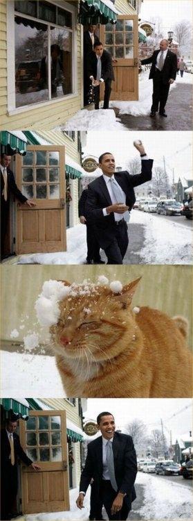 obama snowball