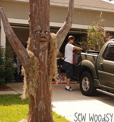 18 Scariest Trees Ever