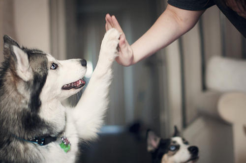 24 Epic High Fives