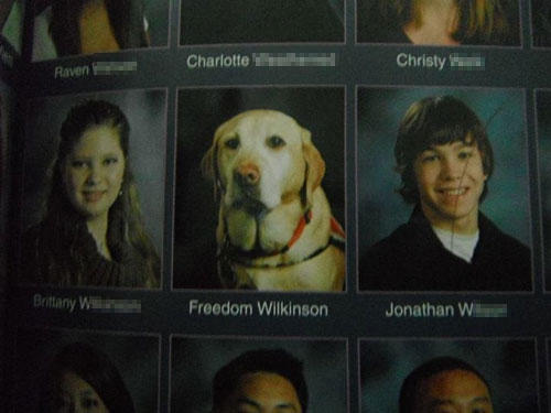 20 WTF Yearbook Photos