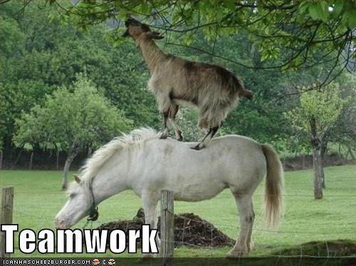 22 Epic Acts Of Teamwork