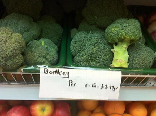 21 Hilariously Misspelled Signs