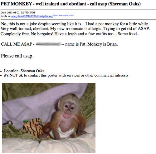 15 Ridiculous Craigslist Ads