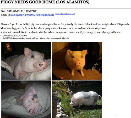 15 Ridiculous Craigslist Ads