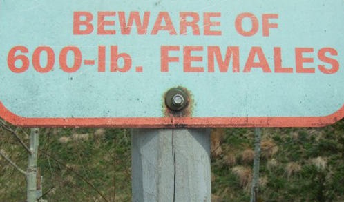 21 Funny WTF Warning Signs