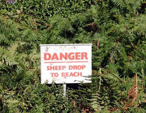 21 Funny WTF Warning Signs