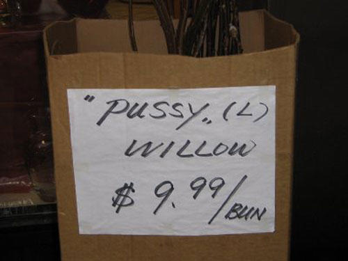 calligraphy - "Pussy.4 Willow $9.99eur