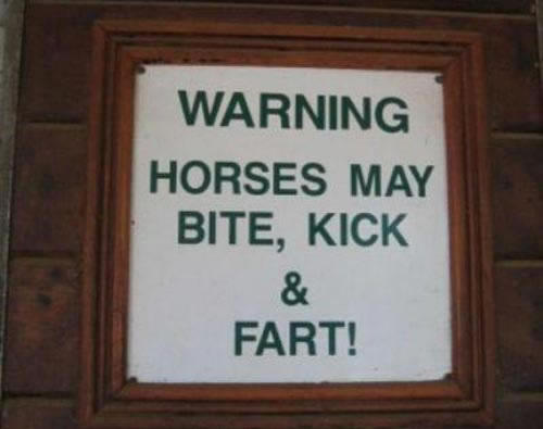 street sign - Warning Horses May Bite, Kick Fart!