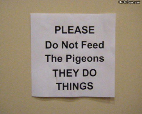 sign - HaHa Stop.com Please Do Not Feed The Pigeons They Do Things