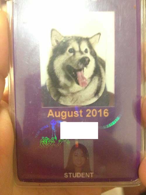 20 Hilarious Student ID Photos